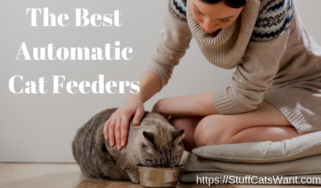 Top 10 Benefits of Automatic Feeders for Pets